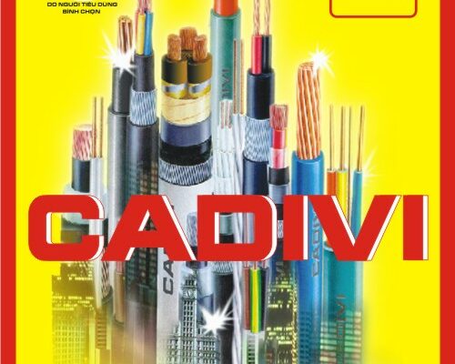 GIÁ TRỊ BỀN VỮNG MANG TÊN CADIVI